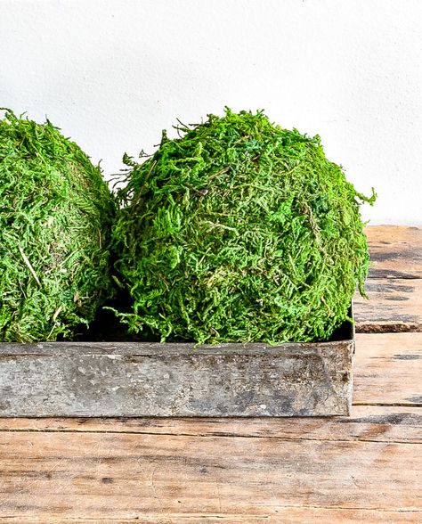 How To Make A Moss Ball, Decorative Balls Centerpiece, How To Make Moss Balls, Moss Balls Decor Centerpieces, Preserving Moss, Moss Ball Centerpiece, Moss Balls Decor, Diy Decorative Balls, Moss Bowls