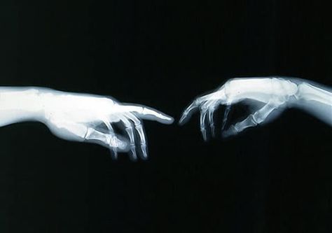 X-Ray Art. - Gallery The Hand, Paint, White