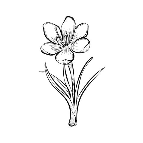 Saffron Flower Illustration, Santan Flower Drawing, Saffron Flower Tattoo, Saffron Drawing, Saffron Illustration, Saffron Plant, Drawn Animals, Flor Tattoo, Hello Wallpaper