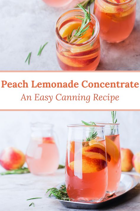 Light, sweet, and refreshing, this delicious adaptation of a family favorite is made with juice from freshly picked peaches and lemons to create a summery drink that is sure to brighten your day!  #peach #lemonade #summer # drinks Peach Lemonade Concentrate, Homemade Lemonade Concentrate, Lemonade Concentrate Recipe, Fresh Peach Recipes, Canning Peaches, Peach Drinks, Canning Recipe, Lemonade Concentrate, Homegrown Food