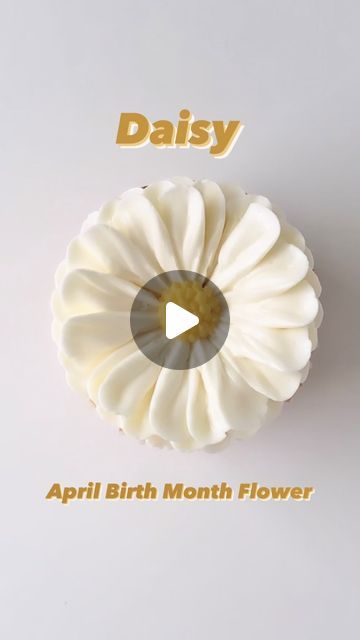 Eat Cake Be Merry - Liz Shim on Instagram: "Cheers to all April birthdays! Here’s your birth month flower, the daisy, as a yummy cupcake. Enjoy celebrating your special day. 🌼🧁

To learn how to pipe floral cupcakes like this and much more check out my Buttercream Flower Cupcake Masterclass! Link in bio." Cupcake Decorating Techniques, Buttercream Flowers Cupcakes, Buttercream Flowers Tutorial, Easy Cupcakes Decoration, Daisy Cupcakes, Flower Sugar Cookies, Sugar Flowers Cake, Cupcake Decorating Tips, Cupcake Tutorial