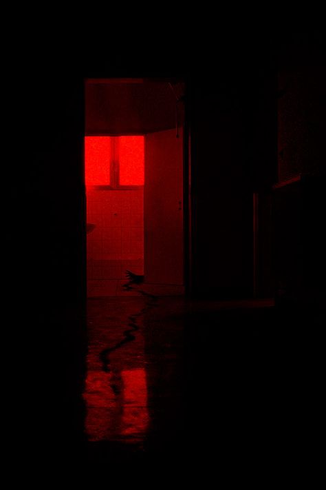 Psychotic Wallpaper, Phycopaths Aesthetic, Psychological Thriller Movie Aesthetic, Psychological Horror Aethstetic, Violencecore Aesthetic, Psychological Thriller Aesthetic, Surrounded By Psychopaths, Creepy Hallway Aesthetic, Red Aesthetic Grunge