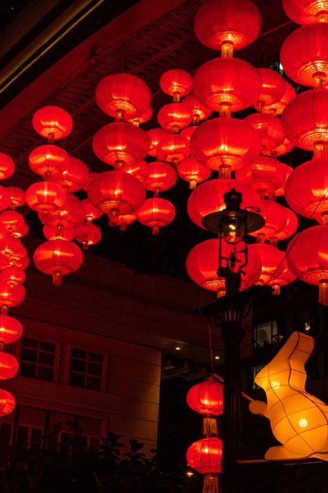 Chinese New Year Decorations in Hong Kong. #everydaytourists #chinesenewyear #cny2023 #hongkong #lunaryear #yearoftherabbit #travel #travelphotography #photography New Year Decorations, Chinese New Year Decorations, Lunar Year, Hong Kong Travel, Year Of The Rabbit, New Years Decorations, Lunar New, Chinese New Year, Hong Kong