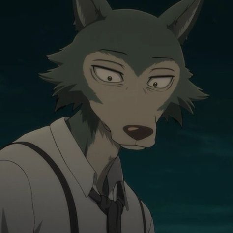 Legoshi Beaststars Pfp, Legoshi Beaststars, Beastars Aesthetic, Beastars Legoshi, Wolf Character, Best Anime, Japanese Cartoon, Cute Anime, Anime Tattoos