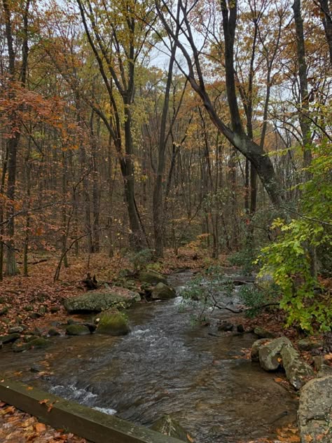 Rural Pennsylvania Aesthetic, Pennsylvania Forest, Pennsylvania Aesthetic, Pennsylvania Homes, Pennsylvania Landscape, American Wizarding School, Poconos Pennsylvania, Pennsylvania Mountains, Rural Pennsylvania