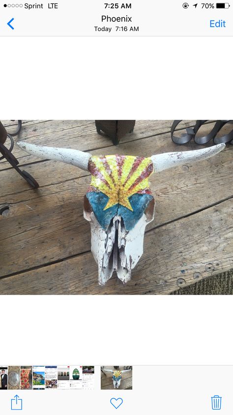 Cattle Skull, Painted Cow Skulls, Skull Ideas, Arizona State Flag, Arizona Flag, Broken Wall, Windshield Glass, Beautifully Broken, Broken Glass