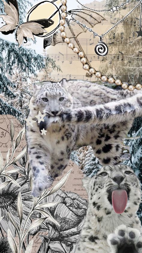 #vintage #nature #wallpaper #art #therian #theriantrophoby #snowleopard #snow Leopard Aesthetic Background, Vintage Nature Wallpaper, Snow Leopard Wallpaper, Snow Leopard Art, Canada Lynx, Leopard Art, Clouded Leopard, Cat Background, Friends Wallpaper