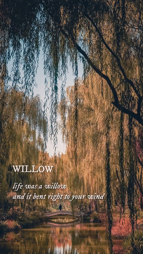 Taylor Swift Lines Wallpaper, Willow Taylor Swift Aesthetic Wallpaper, Willow Taylor Swift Aesthetic Lyrics, Willow Lyrics Wallpaper, Willow Wallpaper Taylor Swift, Taylor Swift Willow Aesthetic, Willow Aesthetic Taylor Swift, Willow Lyrics Taylor Swift, Willow Taylor Swift Aesthetic