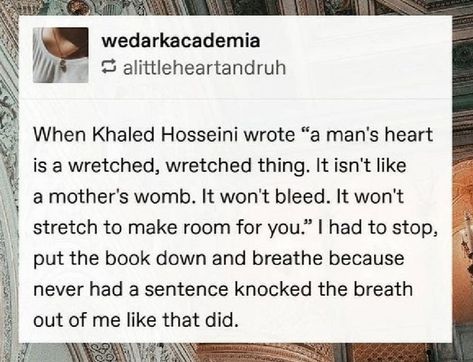 The Thousand Splendid Suns, A Thousand Splendid Suns Fanart, Laila And Tariq A Thousand Splendid Suns, A Thousand Splendid Suns Aesthetic, A Thousand Splendid Suns Quotes, Thousand Splendid Suns Quotes, Afghanistan Quotes, A Thousand Splendid Suns, Sun Quotes