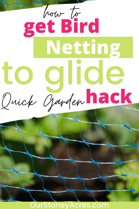 This Bird netting for the garden idea will help you manage it around your berries. Bird netting in your vegetable garden can be a bit frustrating because it can get tangled and hard to remove. Use this simple garden hack to help you easily move it so you can pick your garden berries. Find more gardening ideas, vegetable garden tips and more. Berry Netting Ideas, Bird Netting For Garden Ideas, Blueberry Netting Ideas, Bird Netting For Blueberries, Netting Over Garden, Garden Netting Ideas, Bird Netting For Garden, Garden Berries, Garden Hack