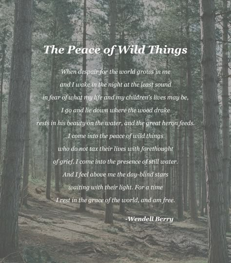 "The Peace of Wild Things" - Wendell Berry [1797 × 2047] [OC] Quotes On Aging, Wendell Berry Quotes, Berry Quotes, Peace Of Wild Things, Nature Poem, Wendell Berry, Funny Friendship, Love Inspiration, Wild Things