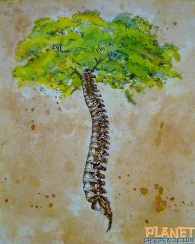 Chiropractic Artwork For Office | Chiropractic art/patient education/office Chiropractic Artwork, Arbor Vitae, Medicine Art, Chiropractic Art, Chiropractic Office Design, Human Spine, Craniosacral Therapy, Ankle Tattoos, Biology Art