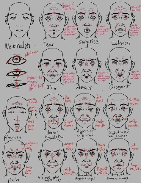 Facial Expressions Drawing, Emotion Faces, Drawing Face Expressions, Face Drawing Reference, 캐릭터 드로잉, Drawing Expressions, Facial Expression, Anatomy Drawing, Poses References