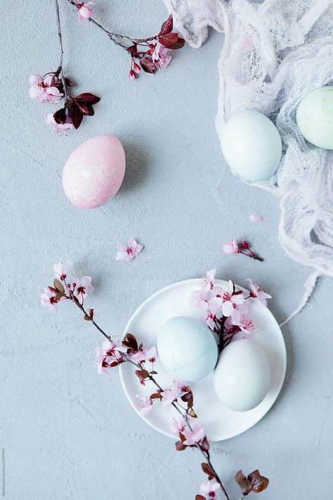 Easter Flatlay, Pastel Still Life, Dyed Easter Eggs, Naturally Dyed Easter Eggs, Easter Photography, Easter Photoshoot, Easter Egg Dye, Easter Goodies, Easter Egg Decorating