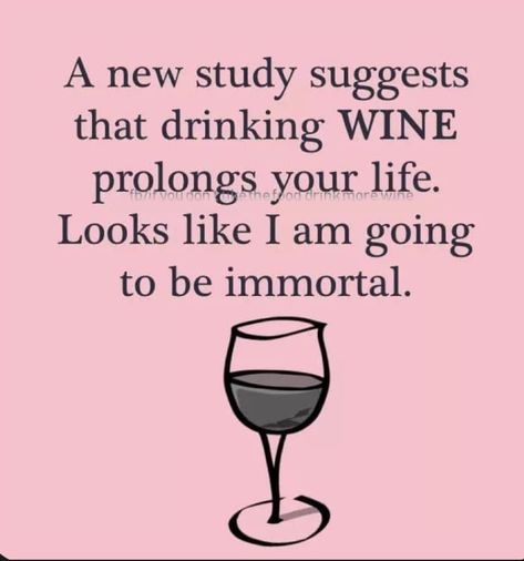 Whiskey Quotes, Wine Jokes, Auntie Quotes, Funny Drinking Quotes, Wine Meme, Wine Glass Sayings, Funny Women Quotes, Alcohol Humor, Drinking Quotes