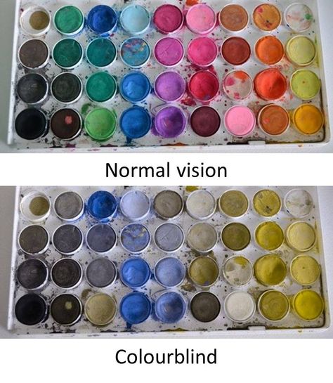 Colour Blind Art, Colorblind Aesthetic, Invisible Disabilities, Planet Project, Blind Art, Yin Yang Art, Minted Art, Color Vision, Film Making