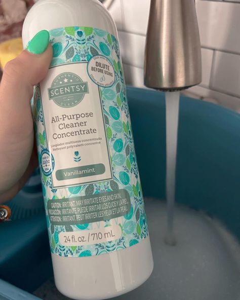 Got multiple surfaces to clean, but can’t be faffed with carting about loads of different cleaners? No need to scentsy’s got your back. Our all-purpose concentrated cleaner takes care of the lot! 🧽 This everyday, all-purpose cleaner is specially formulated to cut through dirt and grime on most household surfaces, including stainless steel, tile and linoleum. Makes six 473-ml bottles. And you can choose from a range of fragrances 🤩 𝘗𝘩𝘰𝘵𝘰𝘴 𝘢 𝘮𝘪𝘹 𝘰𝘧 𝘮𝘪𝘯𝘦 𝘢𝘯𝘥 𝘧𝘦𝘭𝘭𝘰𝘸 𝘤𝘰𝘯𝘴𝘶𝘭𝘵𝘢𝘯𝘵𝘴 https://bew... Scentsy All Purpose Cleaner, Stainless Steel Tile, All Purpose Cleaner, Got Your Back, Linoleum, Your Back, Tile, Range, Stainless Steel