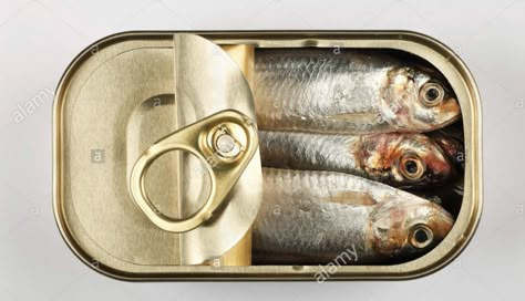 Can Of Sardines, Recipe For Success, Cheese Casserole, Ap Art, Anchovies, Tin Can, Fish Art, Omega 3, Health Benefits