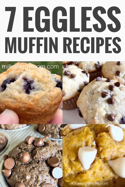 collage of eggless dairy free muffin recipes. blueberry muffins, banana muffins, double chocolate muffins, pumpkin muffins, and more Eggless Muffin Recipes, Muffins With Moms, Egg Free Diet, Basic Muffins, Easy Kid Friendly Meals, Milk Free Recipes, No Egg Recipes, Egg Free Muffins, Muffins Zucchini