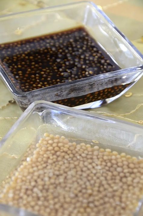 Mustard Caviar, Mustard Seed, Appetizer, Vinegar, Mustard, Condiments, Seeds, Salad