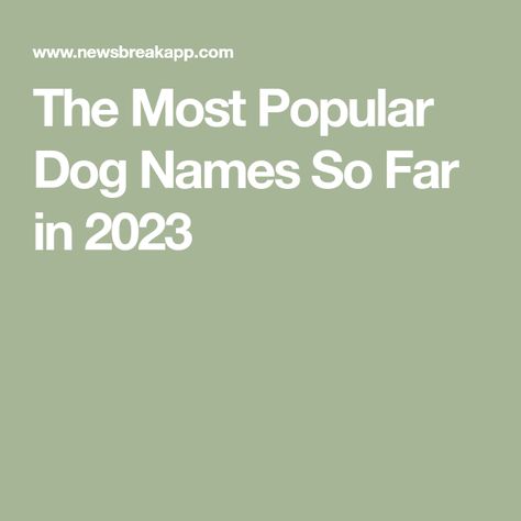 The Most Popular Dog Names So Far in 2023 Top Dog Names, Most Popular Dog Names, Popular Boy Names, Popular Dog Names, Female Dog Names, Social Security Administration, Pet Insurance, American Kennel Club, Popular Dog