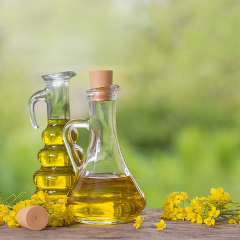 Is vegetable oil the same as canola oil? Here are the similarities and differences you need... Canola Plant, Vegetable Benefits, Walnut Oil, Similarities And Differences, Rapeseed Oil, Soybean Oil, Canola Oil, Oil Plant, Healthy Options