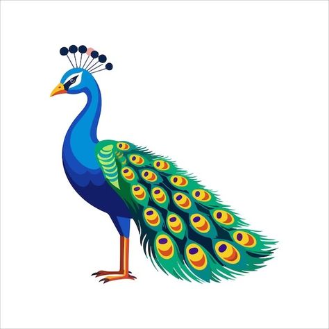 Arifinzainal1728 | Freepik Peacock Cartoon, Peacock Vector, Vector Animals, Vector Cartoon, Art Drawings For Kids, Premium Vector, Graphic Resources, Art Drawings, Digital Art