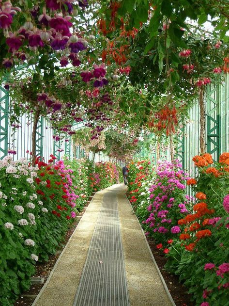 Moderne Have, Most Beautiful Gardens, Beautiful Flowers Garden, Beautiful Landscape Wallpaper, Gorgeous Gardens, Beautiful Nature Wallpaper, Alam Yang Indah, Flowers Garden, Greenhouses