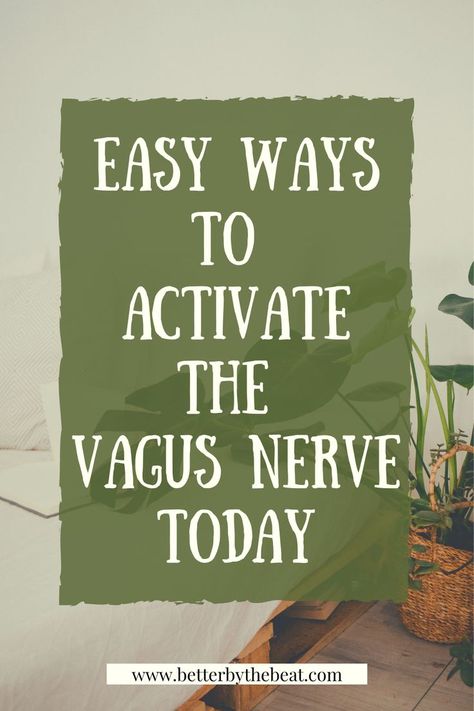 Promote your body's natural restorative state by activating the vagus nerve. Check out this blog for easy ways to stimulate the vagus nerve in your daily life to encourage healing in the body. Vegas Nerve Stimulator, Vagus Nerve Exercise, Vagus Nerve Healing, Vegas Nerve, The Vagus Nerve, Lime Oil, Vagus Nerve, Self Regulation, Wellness Tips