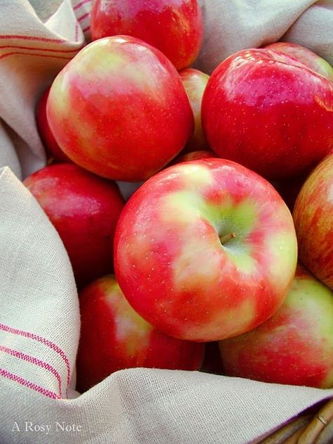 Happy First Day Of Fall, Honey Crisp, Cozy Clothes, Green Soup, First Day Of Fall, Honeycrisp Apples, Magical Things, Wild Apple, Color Reference