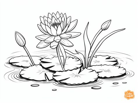 illustration of Lily-pad coloring for tranquility Water Lilly Drawing Flowers, Lilly Pad Drawings, Lily Pad Sketch, Water Lilies Drawing, Lily Pads Drawing, Lilypad Drawing, Lily Pad Drawing, Water Lily Drawing, Sketching Flowers