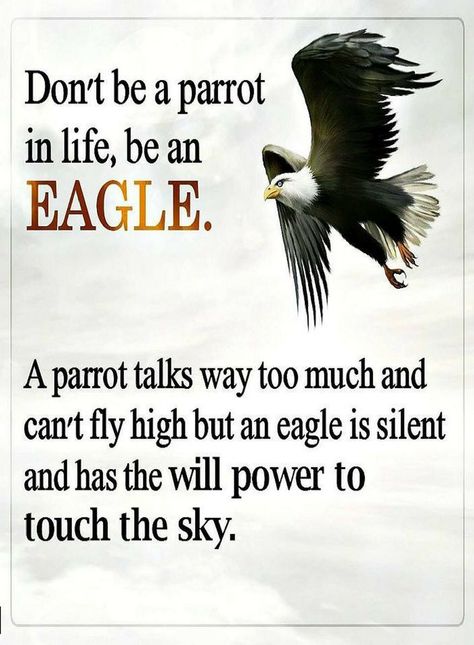 Image Eagles Quotes, Talk Is Cheap, Ayat Alkitab, Warrior Quotes, An Eagle, Lesson Quotes, Life Lesson Quotes, Amazing Quotes, Inspiring Quotes About Life