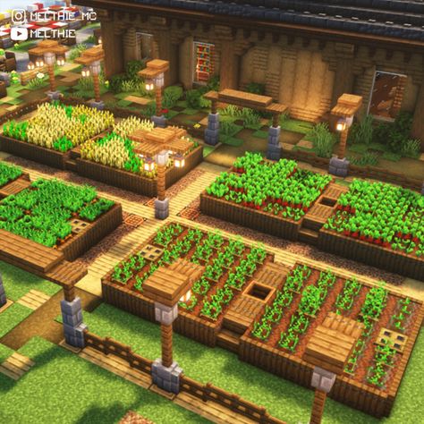 Minecraft Raised Garden, Farm Area Minecraft, Crop Fields Minecraft, Rice Field Minecraft, All The Mods 8 Minecraft Builds, Minecraft Potato Farm Design, Large Minecraft Farm, Farming Ideas Minecraft, Minecraft Vegetable Garden Ideas