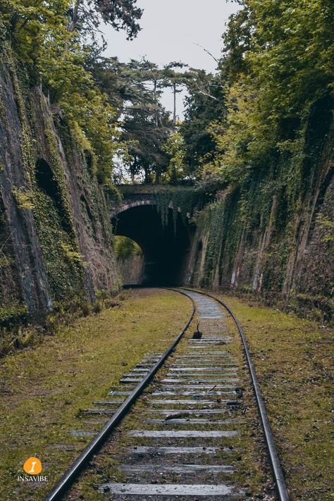 The Petite Ceinture is a former double-track railway line that used to run around Paris within the boulevards des Maréchaux. Railways Aesthetic, Railway Aesthetic, Environment Campaign, Abandoned Train Tracks, Railway Tunnel, Abandoned Railway, Abandoned Railroad, Railway Line, Apocalypse Aesthetic