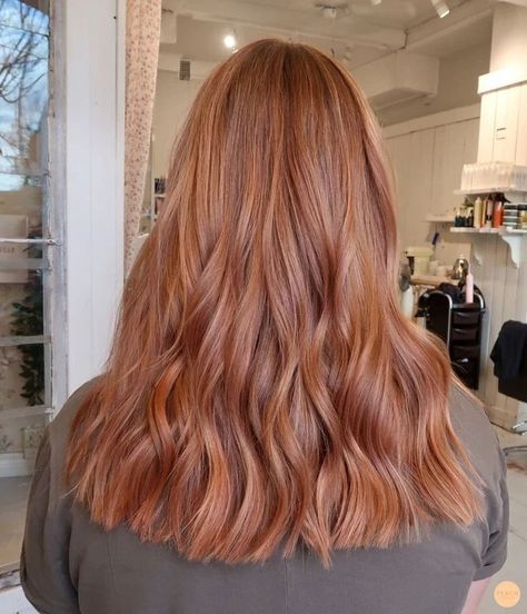 College Hair Color Ideas, Hair Dye Ideas For Pale Skin Blue Eyes, Soft Ginger Hair Color, Copper Peach Balayage, Soft Copper Balayage, Soft Copper Hair Strawberry Blonde, Soft Red Hair Color, Red Hair Glaze, Peach Copper Hair