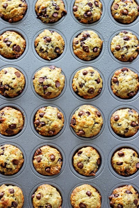 Mini Banana Chocolate Chip Muffins - perfect for lunchboxes and little hands, these mini muffins are packed full of banana chocolate goodness! | thekiwicountrygirl.com Mini Banana Chocolate Chip Muffins, Banana Chocolate Chip Mini Muffins, Banana Choc Chip Muffins, Mini Muffin Tin Recipes, Mini Banana Muffins, Choc Chip Muffins, Oatmeal Chocolate Chip Muffins, Mini Chocolate Chip Muffins, Mini Bananas