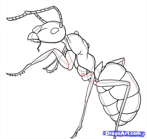 Simple Ant Body | how to draw ants step 21 21 Drawing, Insect Art Projects, Ant Drawing, Bugs Drawing, Ant Art, Paintings Illustration, Illustration Sketchbook, Contour Drawing, Art Drawings Sketches Pencil