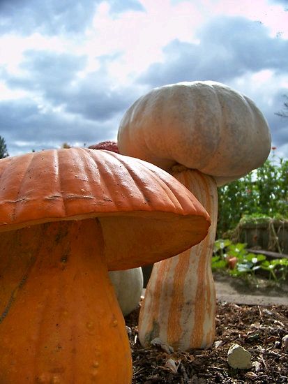 Dishfunctional Designs: All Hail The Pumpkin! Amazing Fall Pumpkin Displays Halloween Interior, Pumpkin Tablescape, Upcycled Garden, Giant Mushroom, Mushroom Paint, Pumpkin Display, Dark Paint, Repurposed Art, Lantern Ideas