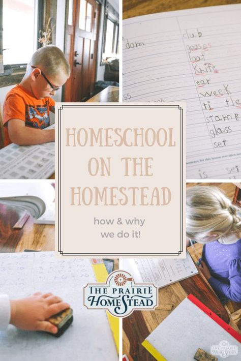 Homeschool on the Homestead: how and why we do it! #homeschool #homesteadhomeschool #countrykids The Prairie Homestead, Prairie Homestead, Map Skills, Farm Kids, Homesteading Skills, Country Kids, Free Homeschool, The Homestead, Homeschool Organization