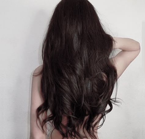 Long Hair Astethic, Straight Black Hair Aesthetic, Long Thick Brown Hair, Dark Brown Long Hair, Korean Skin Care Secrets, Black Brown Hair, Beauty Goals, Hair Stylist Life, Dark Brown Hair