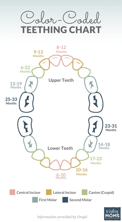 Rainbows Help Everything: A Color-Coded Teething Chart - MightyMoms.club Signs Of Teething, Baby Teething Chart, Teething Chart, Teething Signs, Baby Remedies, Tooth Chart, Baby Information, Baby Schedule, Newborn Baby Tips