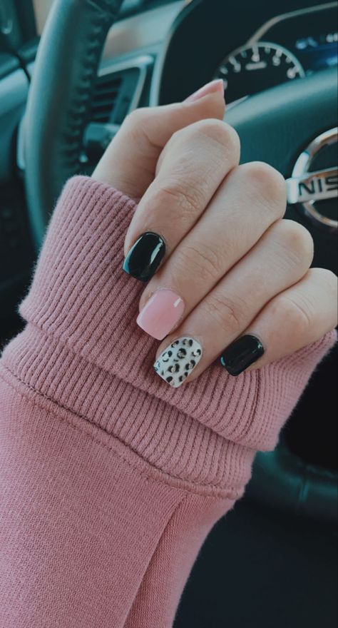 Chita Print Nail Art, Pink And Black Leopard Nails, Black And Pink Dip Nails, Black Nails With Design Ideas Short, Pink And Black Cheetah Nails, Black Dipped Nails Ideas, Black Cheetah Nails, Black Dip Nails, Pink And Black Nail Designs