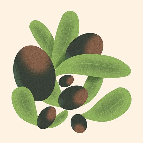 Olive Nostre on Behance Fruit Stencils, Olive Illustration, Greek Kitchen, Graphic Deisgn, Olive Oil Packaging, Italian Pattern, Tuscan Garden, Italian Posters, Soccer Teams