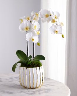 Orchid Interior Design, Orchid Interior, Orchid Vase, Orchid Flower Arrangements, Orchid Centerpieces, Faux Floral Arrangement, Orchid Arrangements, Orchid Pot, Preserved Moss