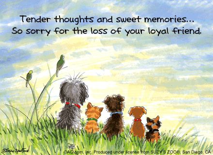 free pet sympathy cards for facebook - Yahoo Search Results Pet Sympathy Quotes, Pet Condolences, Dog Sympathy Card, Suzys Zoo, Pet Sympathy Cards, Sympathy Quotes, Dog Sympathy, Loss Of Dog, Pet Sympathy