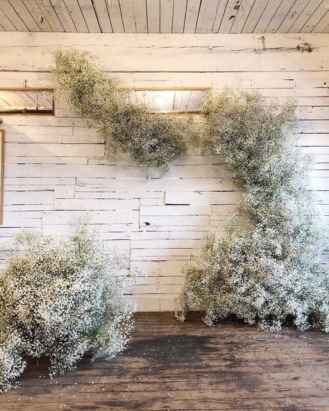 Buds of Brooklyn on Instagram: “just gonna cozy up & live in this baby’s breath cloud for the next 4-6 weeks, byeeeee 👋 #budsofbrooklyn installation for @loulettebride //…” Loulette Bride, Display Dried Flowers, Gypsophila Wedding, Wedding Floral Arrangements, Floral Arch Wedding, Flower Installation, Bouquets Wedding, Baby Breath, Baby S Breath