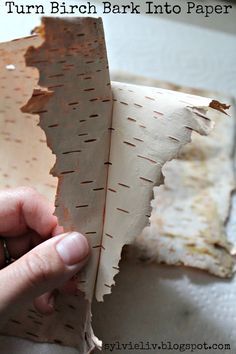 Do you have birch trees near your home?   Did you know you can easily use their bark as paper?     Birch bark is so neat, and makes a rea... Birch Crafts, Bark Jewelry, Birch Decor, Nature Challenge, Tree Bark Crafts, Diy Trees, Bark Idea, Crafting Witch, Bark Crafts