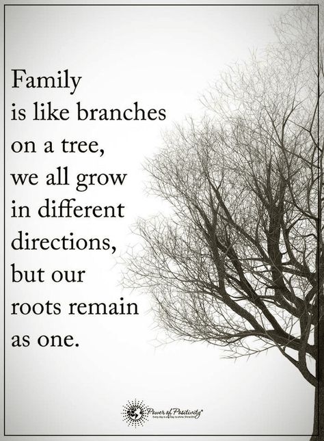 Quotes Family is like flowers in a pot, all have the same roots. Quote For Tattoo, Roots Quotes, Family Council, Family Tree Quotes, Flowers In A Pot, Family History Quotes, Connection Quotes, Challenge Quotes, Quotes About Moving