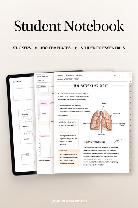 goodnotes digital notebook, ipad templates, goodnotes planner, digital planner templates Reticular Formation, Notability Template, Notes College, Study Templates, Goodnotes Notebook, Student Notes, Acid Base Balance, Goodnotes Template, Planner For Goodnotes