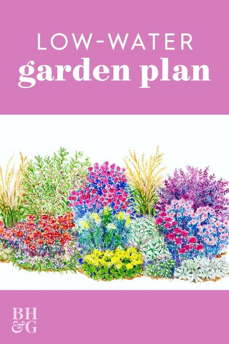 Flower Garden Layouts, Full Sun Garden, Low Water Gardening, Garden Plan, Sun Garden, Foundation Planting, Perennial Shrubs, Garden Plans, Outdoor Gardens Design